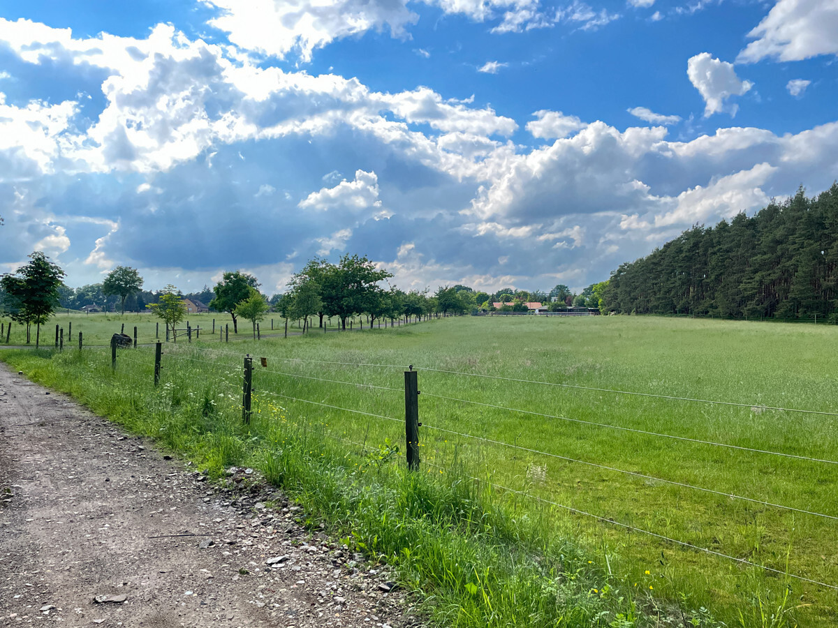 Arbeiten und wohnen mit über 7.500 Land direkt vor der Tür - Ansicht