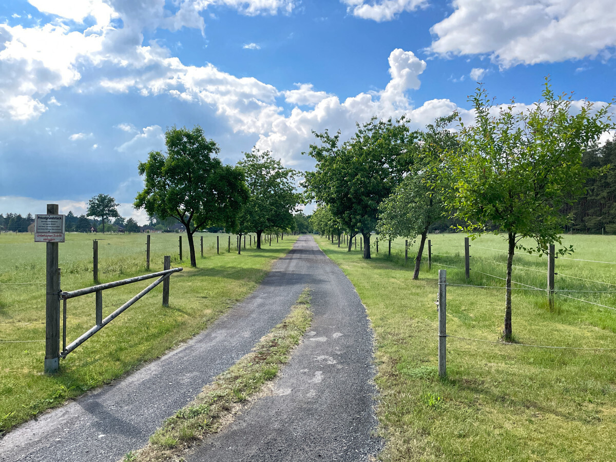 Attraktives Grundstück mit Grünland, Wald- und Gewerbefläche - Ansicht
