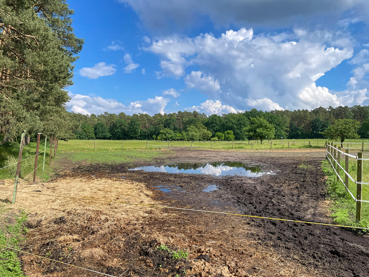 Attraktives Grundstück mit Grünland, Wald- und Gewerbefläche - Ansicht