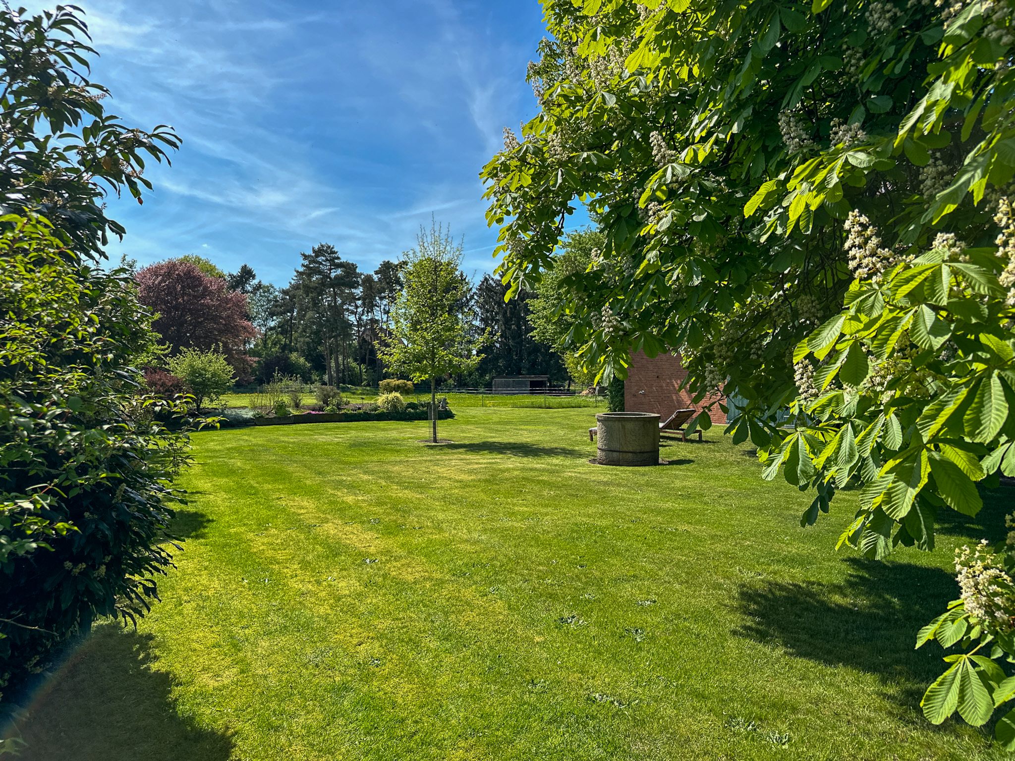 Ihr Traum vom Landleben: Großzügiger Resthof mit Potenzial - Ansicht