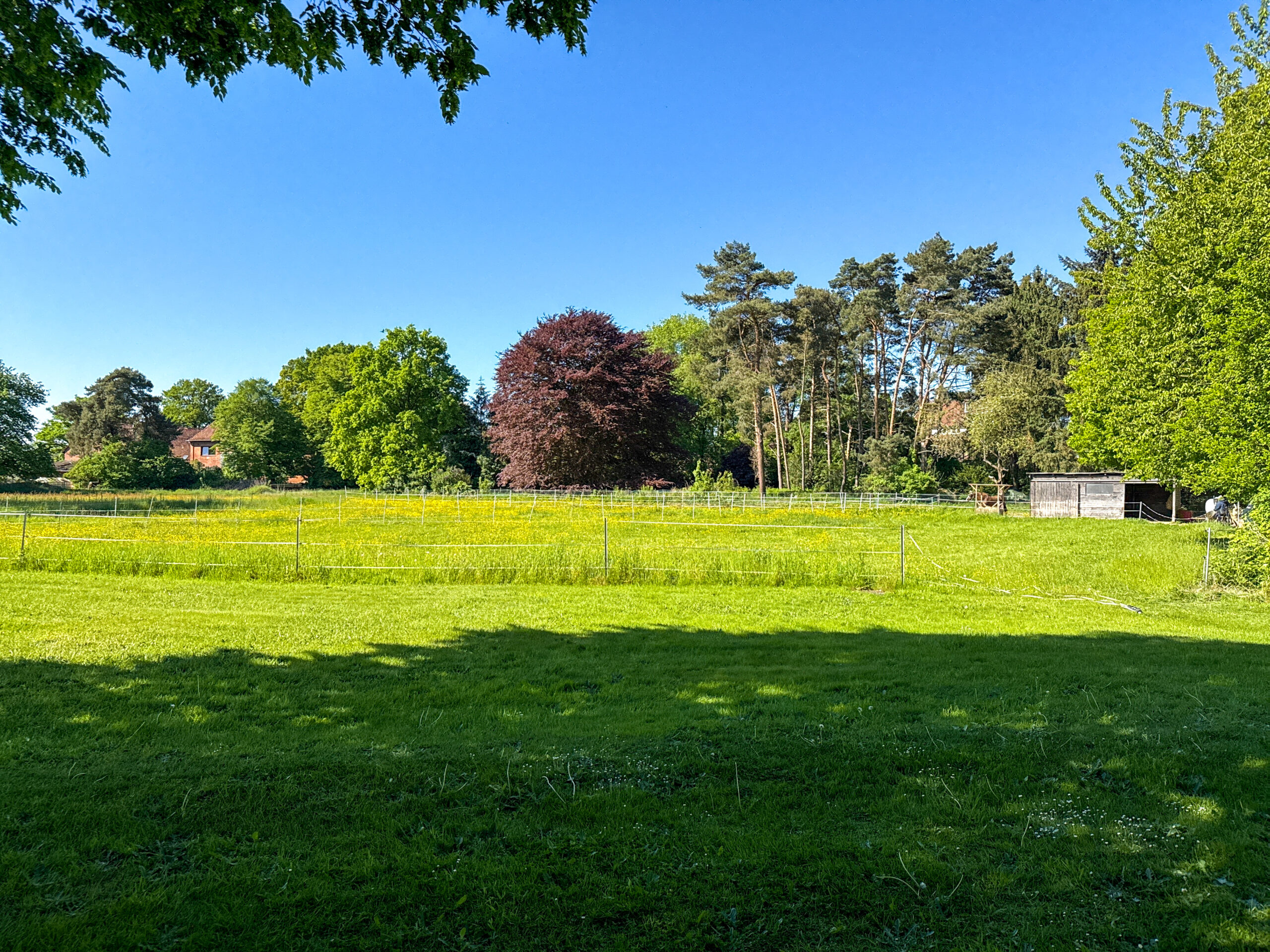 Ihr Traum vom Landleben: Großzügiger Resthof mit Potenzial - Ansicht