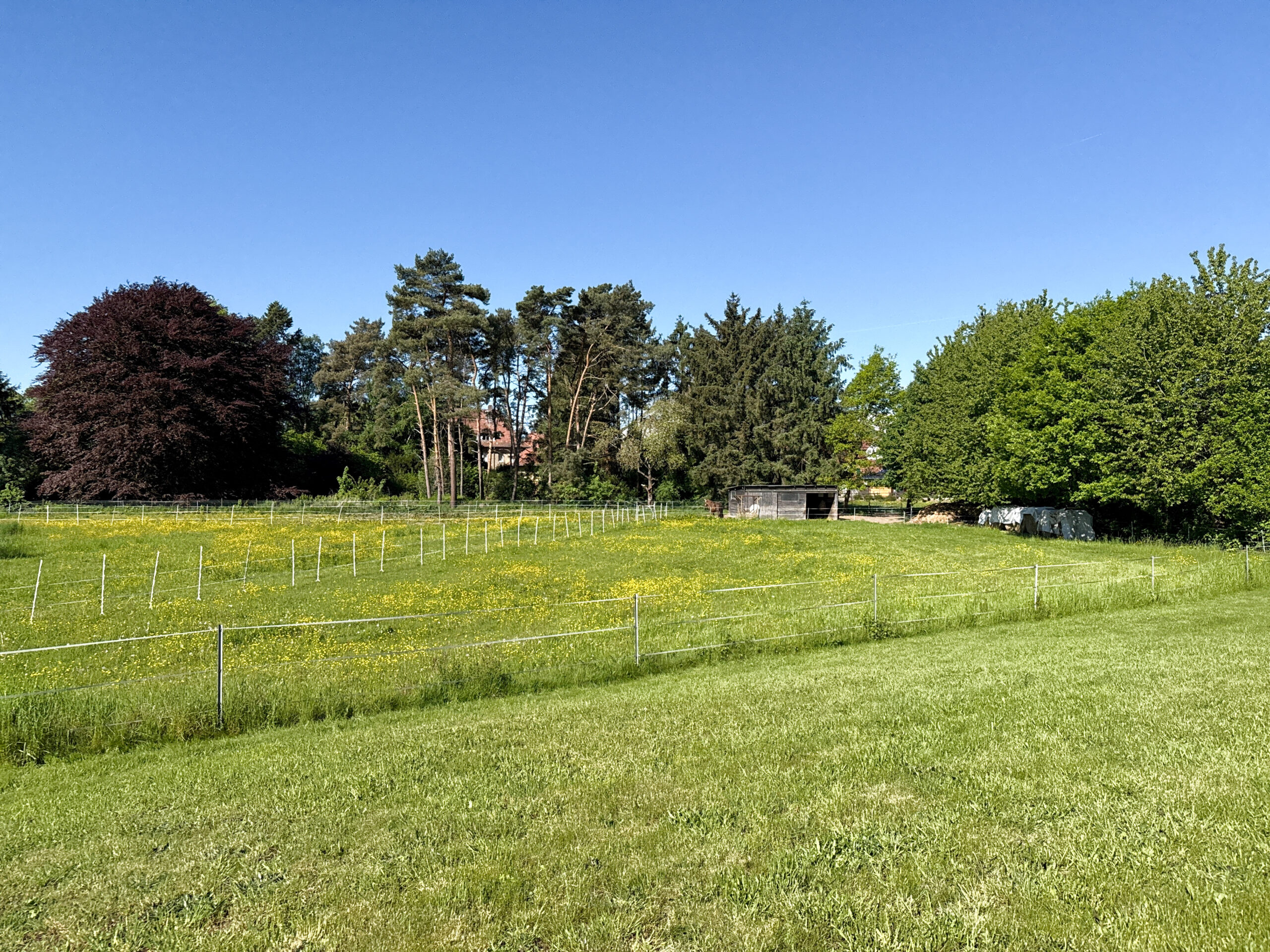 Ihr Traum vom Landleben: Großzügiger Resthof mit Potenzial - Ansicht
