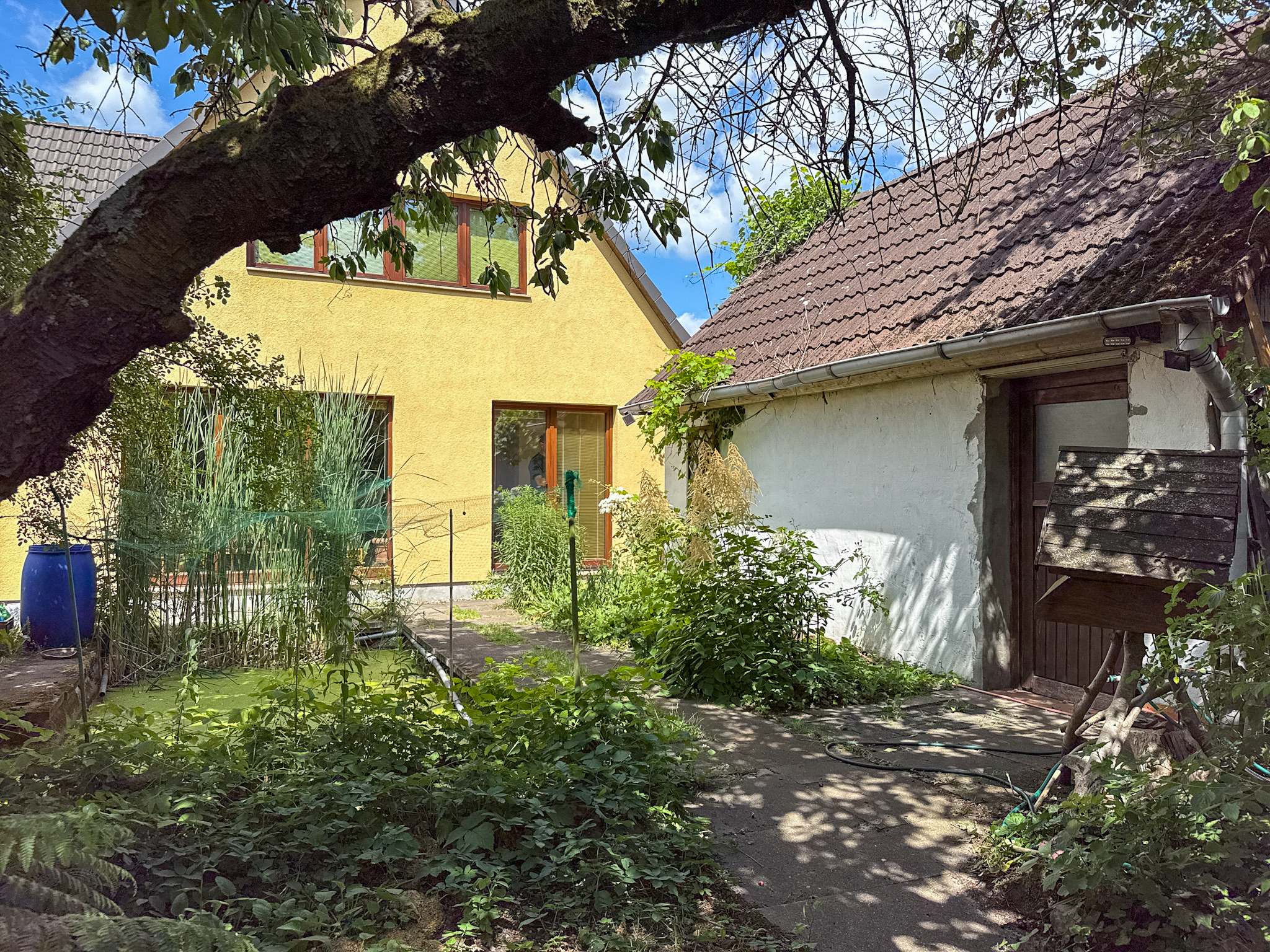 Oase in Bothfeld sucht grünen Daumen - Ansicht