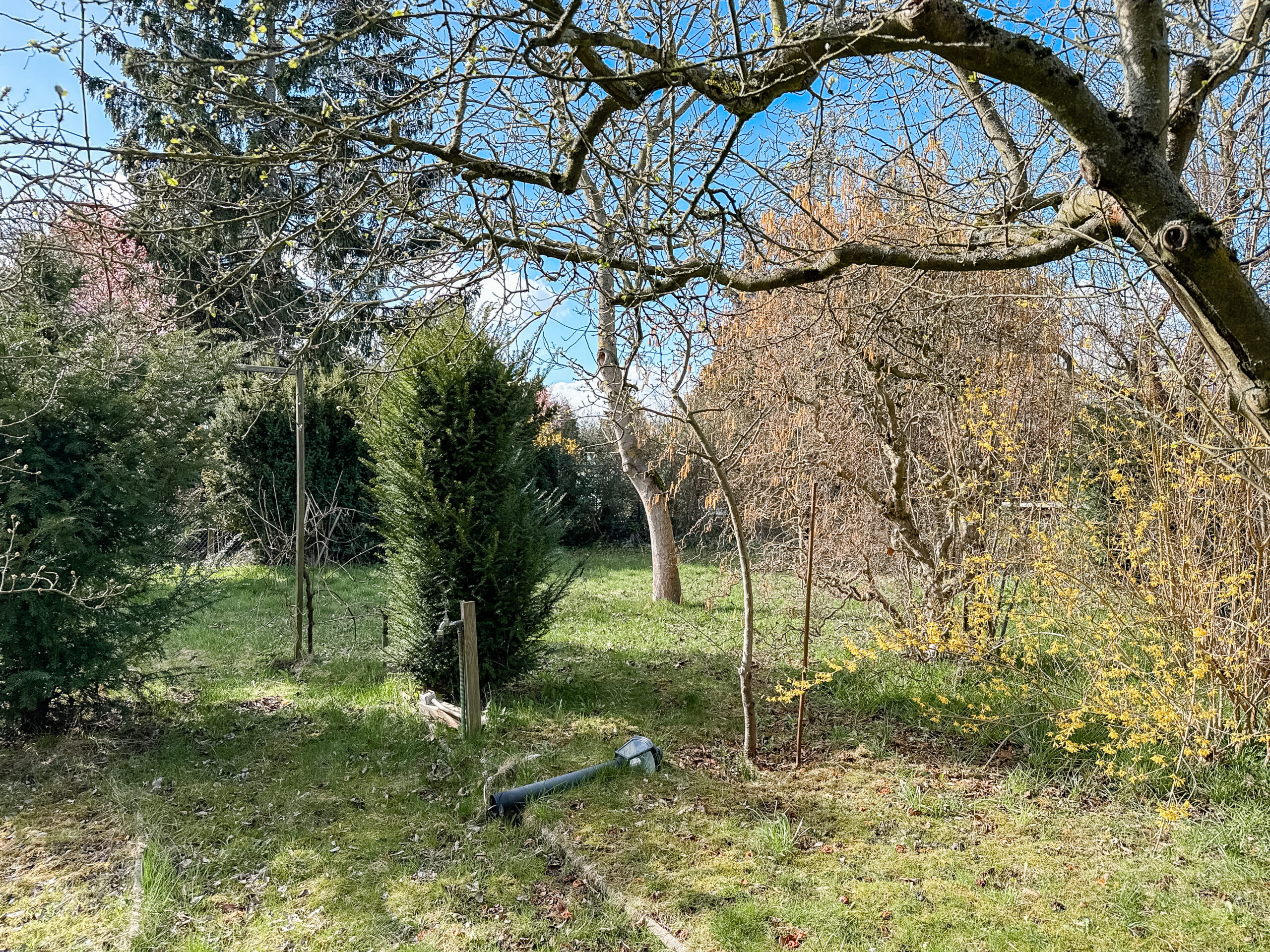 Idyllisches Gartenhaus in Hannover – Ihr persönliches Grüner Rückzugsort - Ansicht