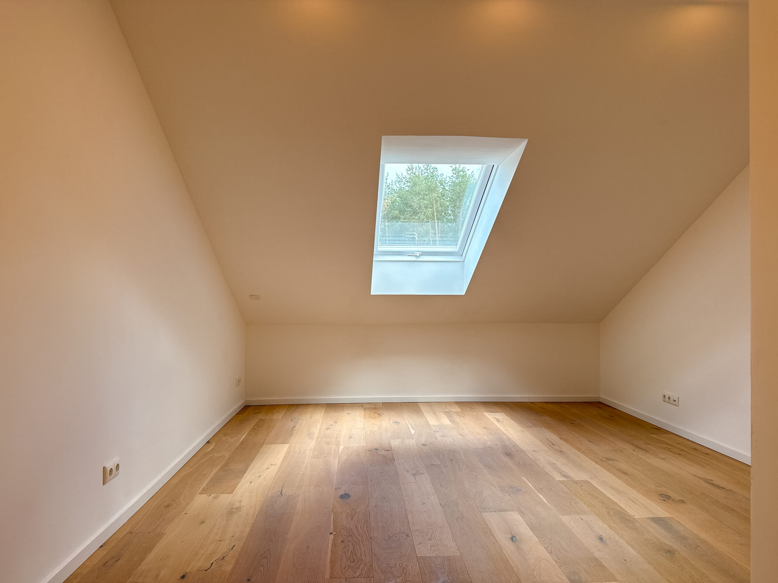 Erstbezug in Ihr neues Zuhause Poitzen - Faßberg - Ansicht