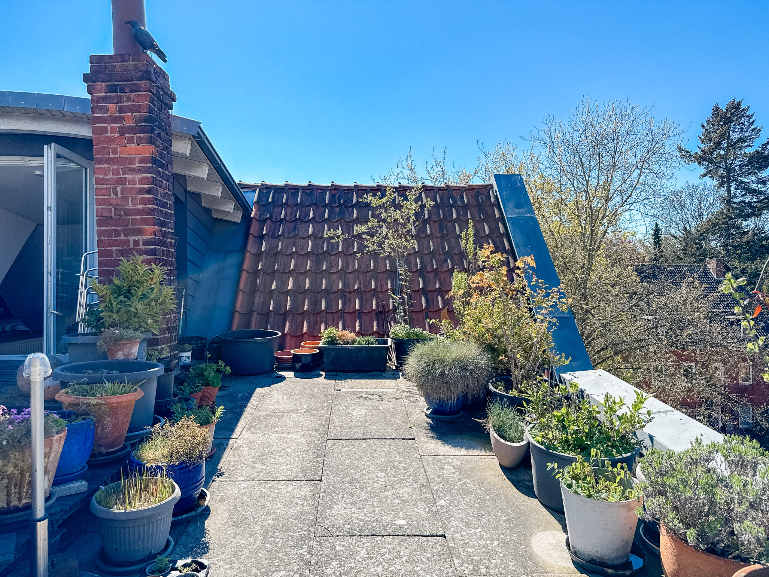 Maisonette mit Galerie, Dachterrasse und 2. Wohnung – Besonders Wohnen in Linden - Ansicht